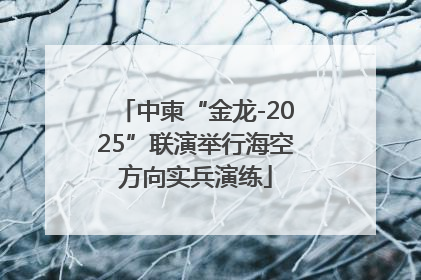 中柬“金龙-2025”联演举行海空方向实兵演练