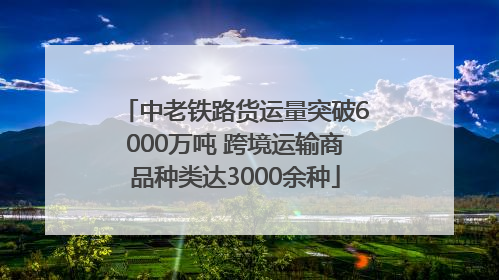 中老铁路货运量突破6000万吨 跨境运输商品种类达3000余种