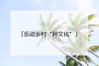 乐动乡村“种文化”