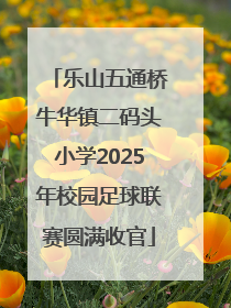 乐山五通桥牛华镇二码头小学2025年校园足球联赛圆满收官