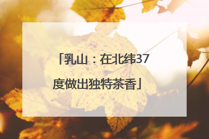 乳山：在北纬37度做出独特茶香