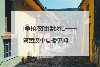 争抢农时插秧忙——陕西汉中夏播见闻