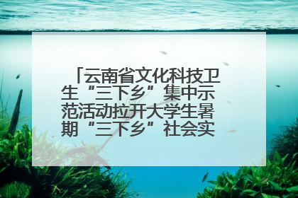 云南省文化科技卫生“三下乡”集中示范活动拉开大学生暑期“三下乡”社会实践活动序幕