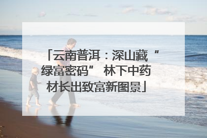 云南普洱：深山藏“绿富密码” 林下中药材长出致富新图景