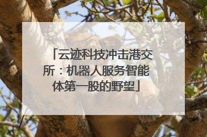 云迹科技冲击港交所：机器人服务智能体第一股的野望