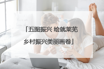 五图振兴 绘就莱芜乡村振兴美丽画卷