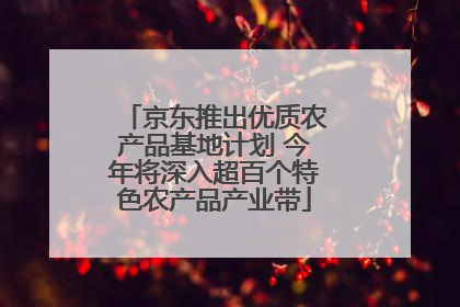 京东推出优质农产品基地计划 今年将深入超百个特色农产品产业带