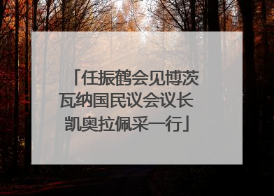任振鹤会见博茨瓦纳国民议会议长凯奥拉佩采一行