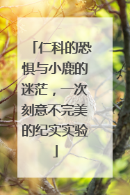 仁科的恐惧与小鹿的迷茫，一次刻意不完美的纪实实验