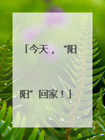 今天，“阳阳”回家！