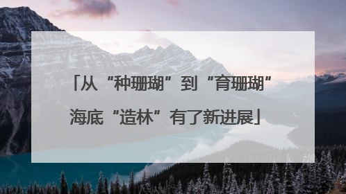 从“种珊瑚”到“育珊瑚” 海底“造林”有了新进展