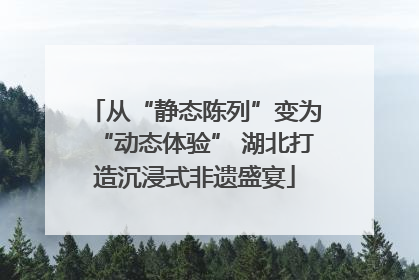 从“静态陈列”变为“动态体验” 湖北打造沉浸式非遗盛宴