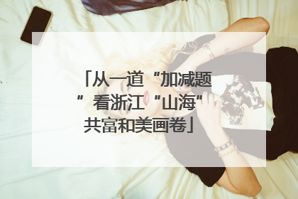 从一道“加减题”看浙江“山海”共富和美画卷