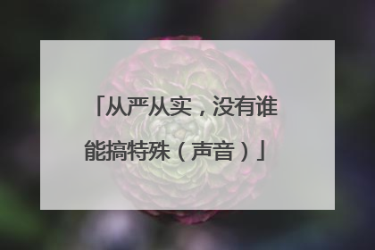 从严从实，没有谁能搞特殊（声音）