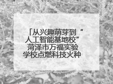 从兴趣萌芽到“人工智能基地校” 菏泽市万福实验学校点燃科技火种，赋能未来人才