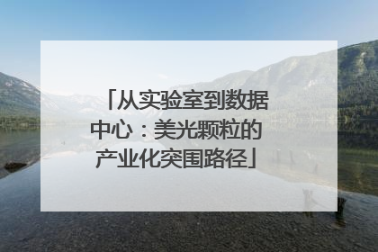 从实验室到数据中心：美光颗粒的产业化突围路径