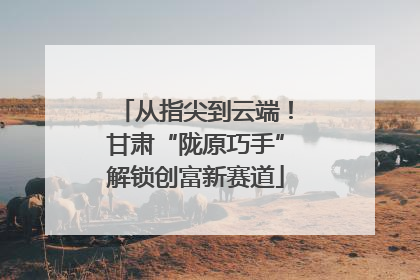 从指尖到云端！甘肃“陇原巧手”解锁创富新赛道