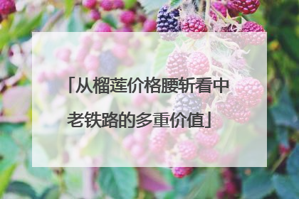 从榴莲价格腰斩看中老铁路的多重价值