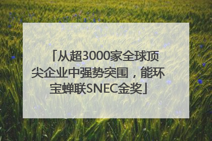 从超3000家全球顶尖企业中强势突围，能环宝蝉联SNEC金奖