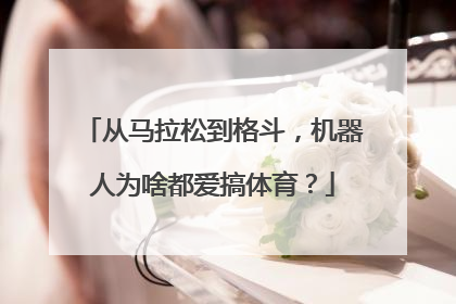从马拉松到格斗，机器人为啥都爱搞体育？