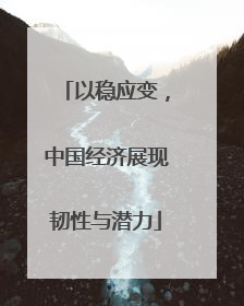 以稳应变，中国经济展现韧性与潜力