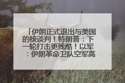 伊朗正式退出与美国的核谈判！特朗普：下一轮打击更残酷！以军：伊朗革命卫队空军高层指挥系统已被击垮