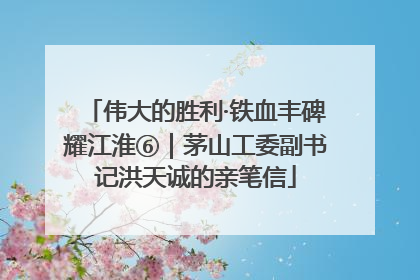 伟大的胜利·铁血丰碑耀江淮⑥｜茅山工委副书记洪天诚的亲笔信