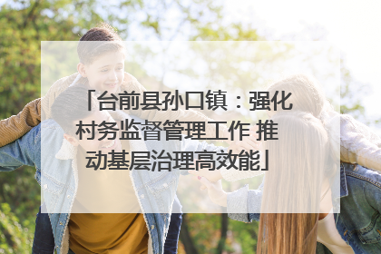 台前县孙口镇：强化村务监督管理工作 推动基层治理高效能