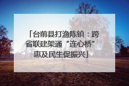 台前县打渔陈镇：跨省联建架通“连心桥” 惠及民生促振兴