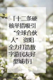 十二条硬核举措吸引“全球合伙人” 资阳全力打造数字游民友好型城市