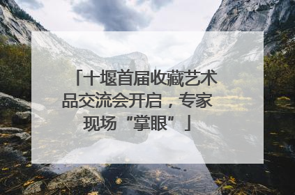 十堰首届收藏艺术品交流会开启，专家现场“掌眼”