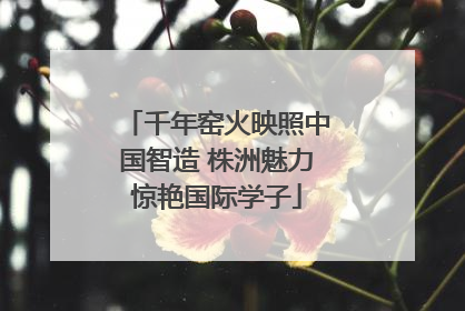 千年窑火映照中国智造 株洲魅力惊艳国际学子