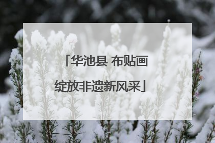 华池县 布贴画绽放非遗新风采