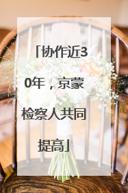 协作近30年，京蒙检察人共同提高