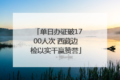 单日办证破1700人次 西藏边检以实干赢赞誉