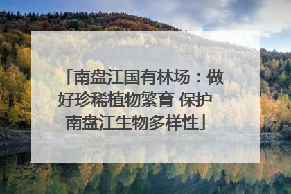 南盘江国有林场：做好珍稀植物繁育 保护南盘江生物多样性