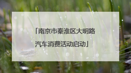 南京市秦淮区大明路汽车消费活动启动