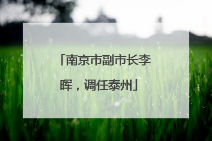 南京市副市长李晖，调任泰州