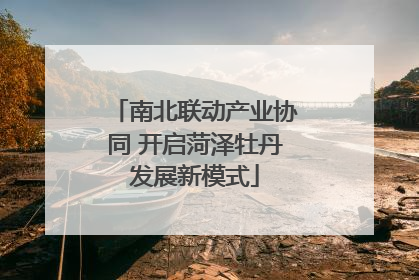 南北联动产业协同 开启菏泽牡丹发展新模式