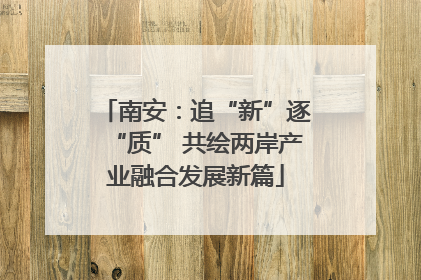 南安：追“新”逐“质” 共绘两岸产业融合发展新篇