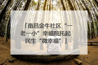 南昌金牛社区“一老一小”幸福院托起民生“微幸福”
