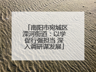 南阳市宛城区溧河街道：以学促行强担当 深入调研谋发展