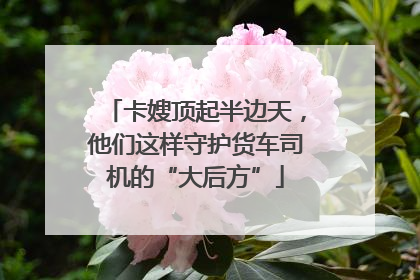 卡嫂顶起半边天，他们这样守护货车司机的“大后方”