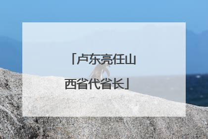 卢东亮任山西省代省长