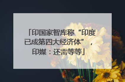 印国家智库称“印度已成第四大经济体”，印媒：还需等等