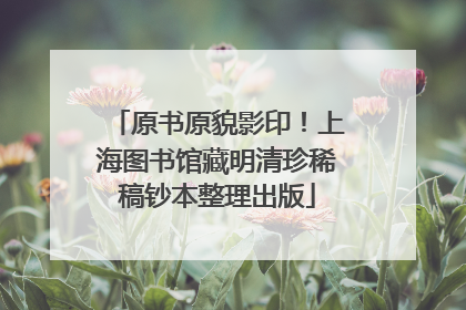 原书原貌影印！上海图书馆藏明清珍稀稿钞本整理出版