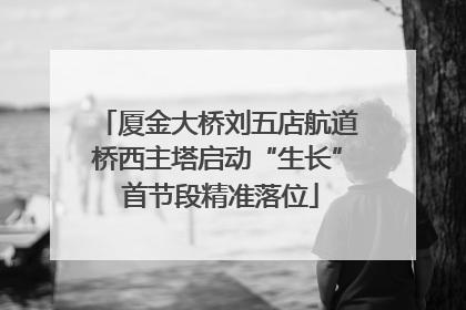 厦金大桥刘五店航道桥西主塔启动“生长” 首节段精准落位