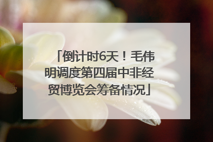 倒计时6天！毛伟明调度第四届中非经贸博览会筹备情况