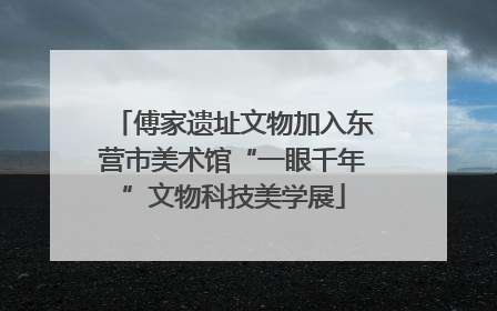 傅家遗址文物加入东营市美术馆“一眼千年”文物科技美学展