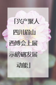 兴产聚人 四川眉山西博会上展示磅礴发展动能